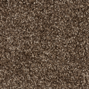 Hamster Brown Carpet
