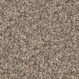 Coconut Brown Carpet