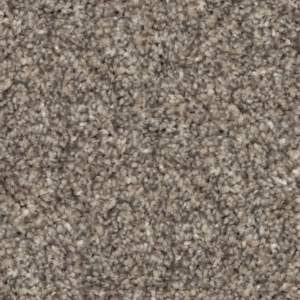 Legionary Grey Carpet